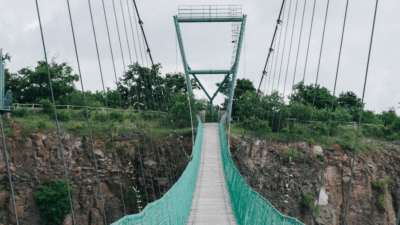 Bridging the phishing gap