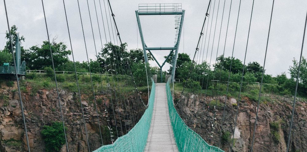 Bridging the phishing gap