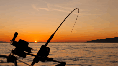 Business guide to phishing vs vishing vs smishing protection